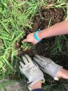 ECO